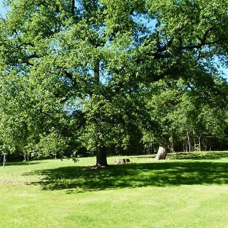 Gite En Brenne Les Chenes Merigny Экстерьер фото