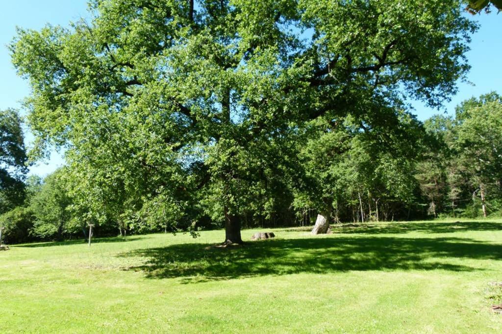 Gite En Brenne Les Chenes Merigny Экстерьер фото
